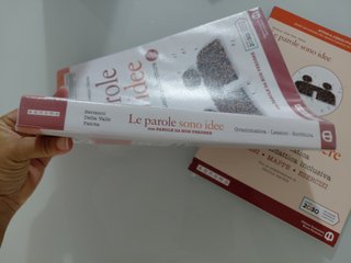 Le parole sono idee. Grammatica, lessico,scrittura