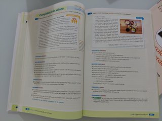 Le parole sono idee. Grammatica, lessico,scrittura