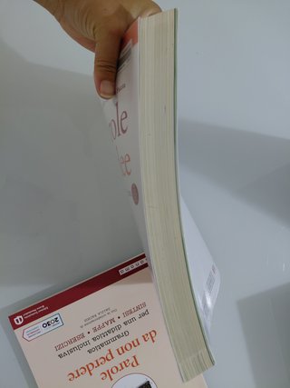 Le parole sono idee. Grammatica, lessico,scrittura