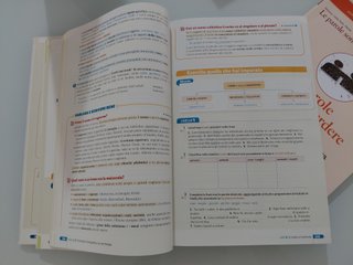 Le parole sono idee. Grammatica, lessico,scrittura