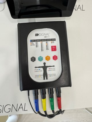 Equipo Nesa World XSIGNAL