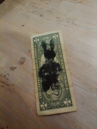 Banconota da 1 dollaro USA con disegno coniglio