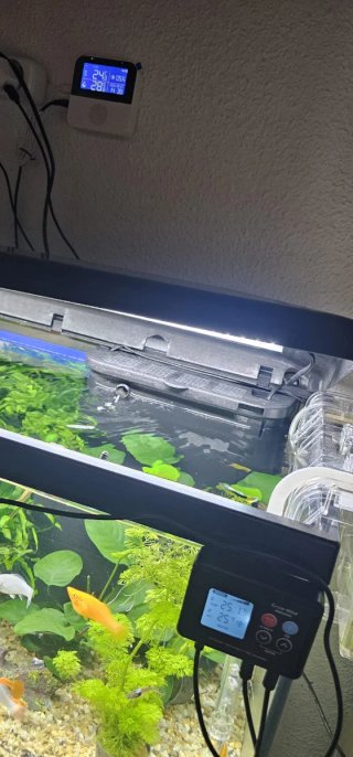 Acuario completo con mueble y peces
