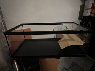 Terrario Negro y Transparente