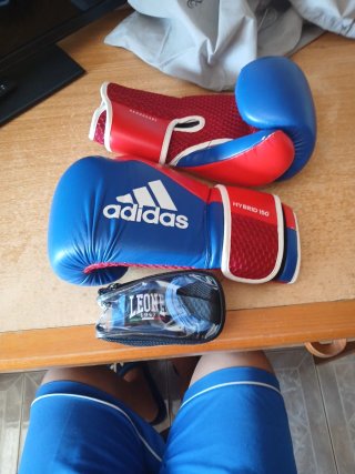 Guanti Adidas e Fasce Leone 1947