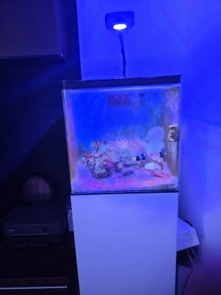 Acuario completo con mueble y LED