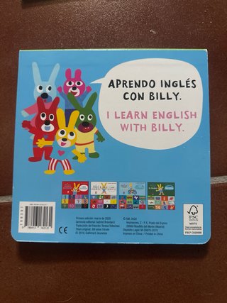 Lote de libros en inglés