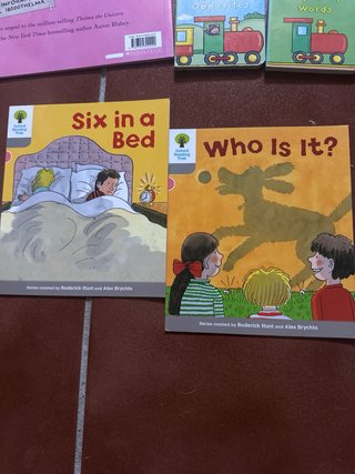 Lote de libros en inglés