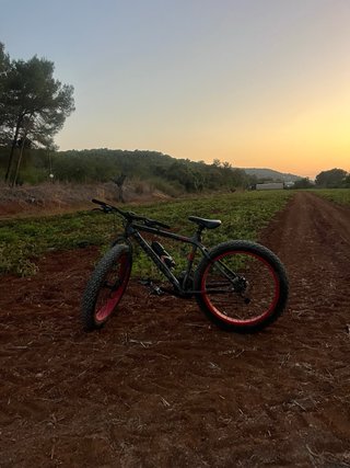Fat Bike Moma 26 pulgadas ruedas  Todoterreno