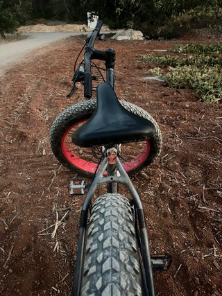 Fat Bike Moma 26 pulgadas ruedas  Todoterreno