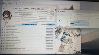 SSD M.2 256GB Union Memory PCIe NVMe 76% salud