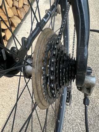Focus Rock Springs Trekking/MTB