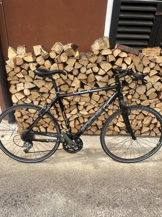 Focus Rock Springs Trekking/MTB