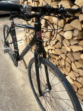 Focus Rock Springs Trekking/MTB