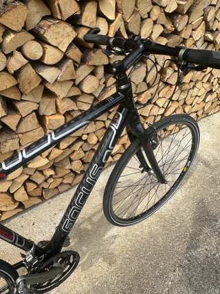 Focus Rock Springs Trekking/MTB