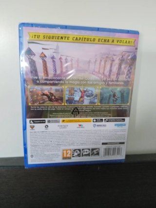 Harry Potter Quidditch Deluxe PS5