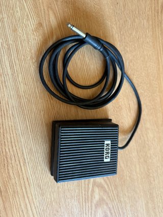 Teclado Korg SP-100 con funda