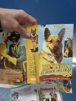 Lote 10 caratulas VHS, películas variadas, años 80/90 SOBRE ANIMALES