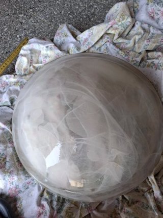 Vetro paralampada trasparente e bianco