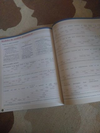 Lengua castellana y literatura I. Libro del est...