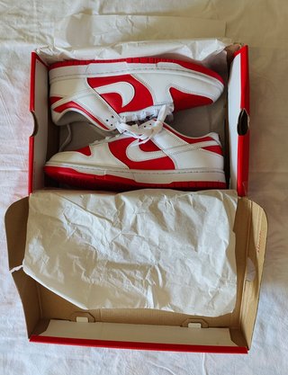Nike Dunk Low Retro University Red