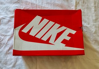 Nike Dunk Low Retro University Red