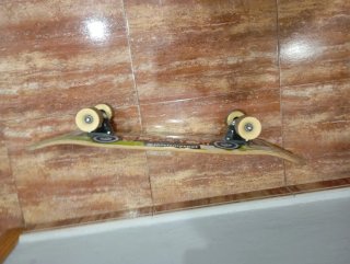 Lote patines Skate Urbano con Diseño Floral