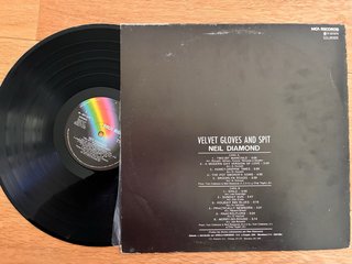 Lote discos vinilo