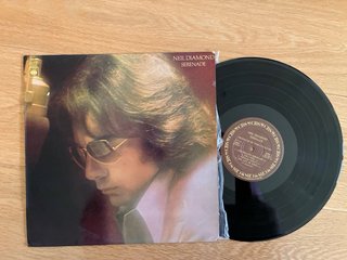 Lote discos vinilo
