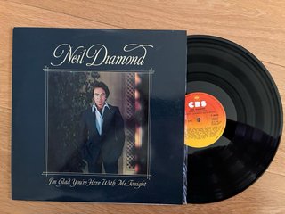 Lote discos vinilo