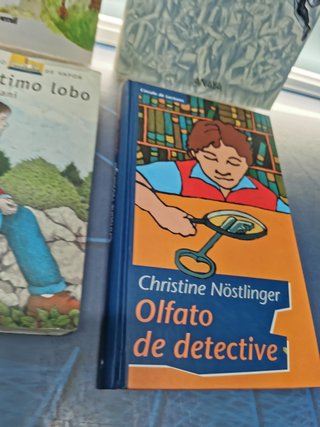 12 libros juveniles, el barco de vapor, ala delta, y mas