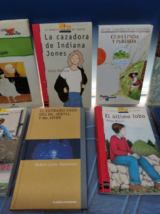 12 libros juveniles, el barco de vapor, ala delta, y mas