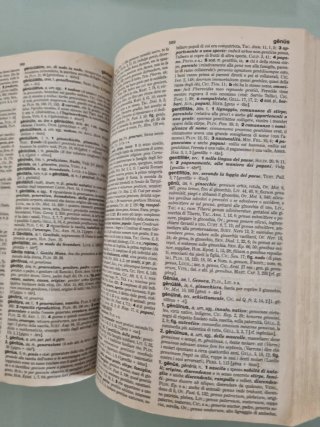 Il vocabolario della lingua latina. Latino-ital...