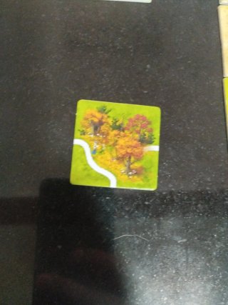 Losetas Carcassonne Varias