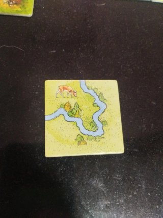 Losetas Carcassonne Varias