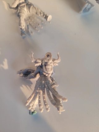 5 Guerreras Caos Proxy Resina 40k