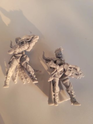 5 Guerreras Caos Proxy Resina 40k