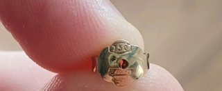 Orecchini oro 18k coccinella