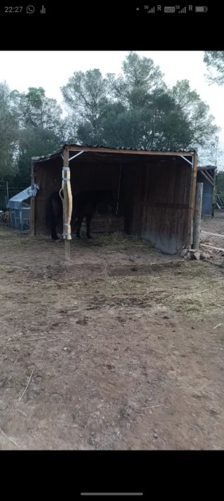 Pérgola de madera