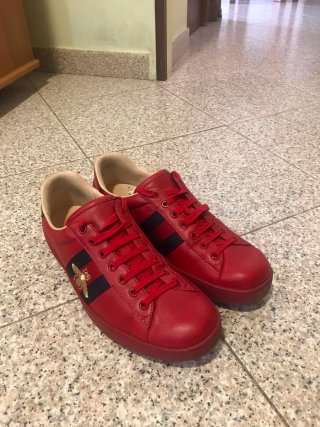 Scarpe Gucci n.42 Uomo