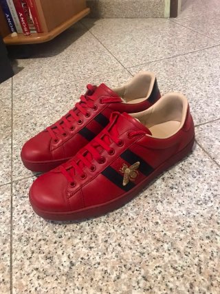 Scarpe Gucci n.42 Uomo