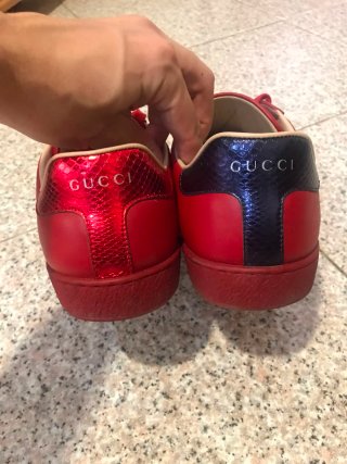 Scarpe Gucci n.42 Uomo