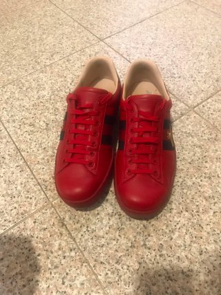 Scarpe Gucci n.42 Uomo