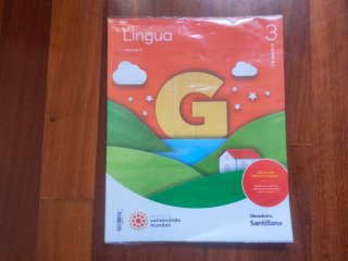 Libro Santillana de lingua