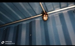 Contenedor de baños, para eventos de Food Truck