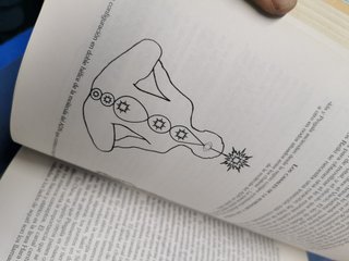 Libro, REIKI ESENCIAL (DIANE STEIN) ed. ROBIN BOOK