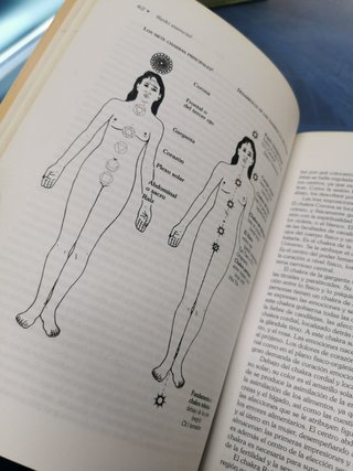Libro, REIKI ESENCIAL (DIANE STEIN) ed. ROBIN BOOK