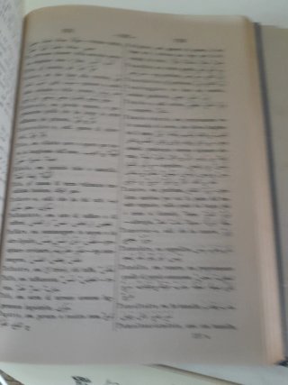 Dizionario italiano arabo arabo italiano