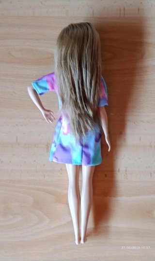Barbie Fashionistas N° 159.