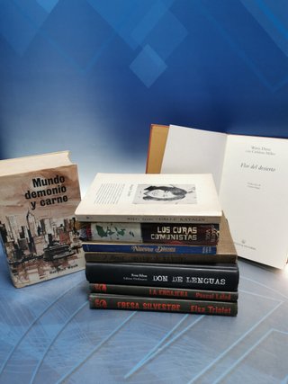 9 LIBROS, NOVELAS, NUEVOS DOSES, DON DE LENGUAS, LOS CURAS COMUNISTAS, CALLE KATALIN y mas